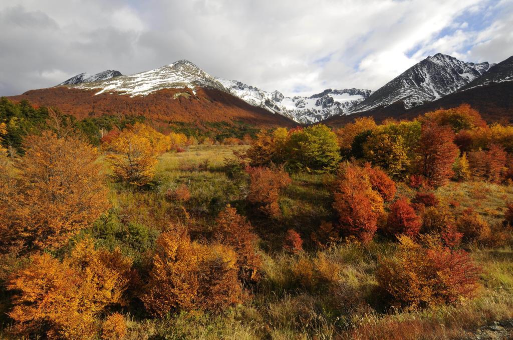 Hotel Cumbres Del Martial Ushuaia Zewnętrze zdjęcie
